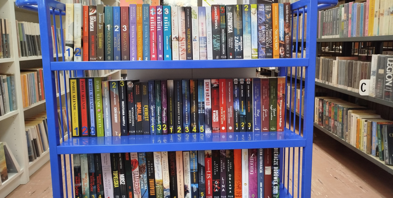 Biblioteka Gostynin: książka na jedno kliknięcie