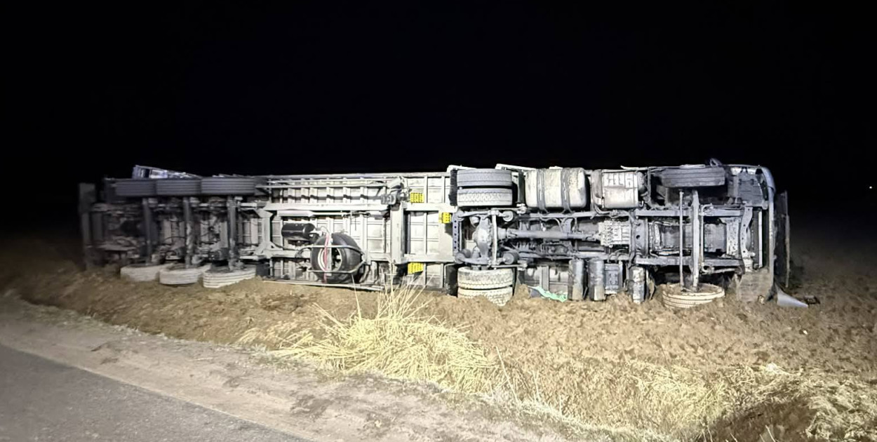 Przewrócona ciężarówka ze zwierzętami pod Kutnem