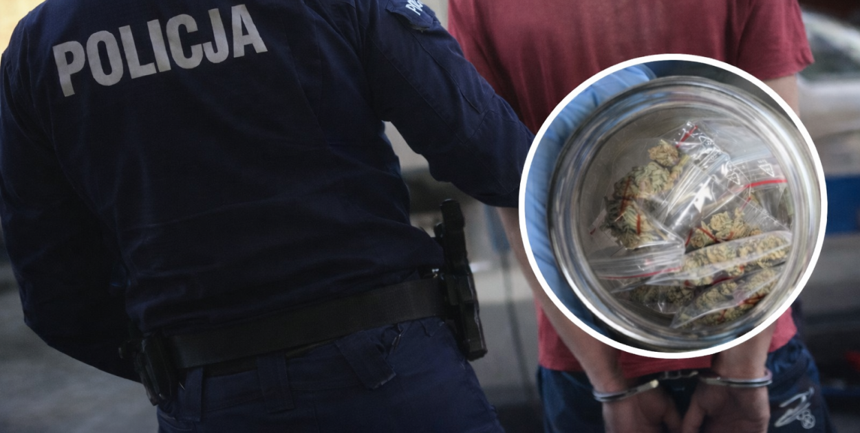 Amfetamina w kieszeni, marihuana w domu. Policyjna akcja w Kutnie