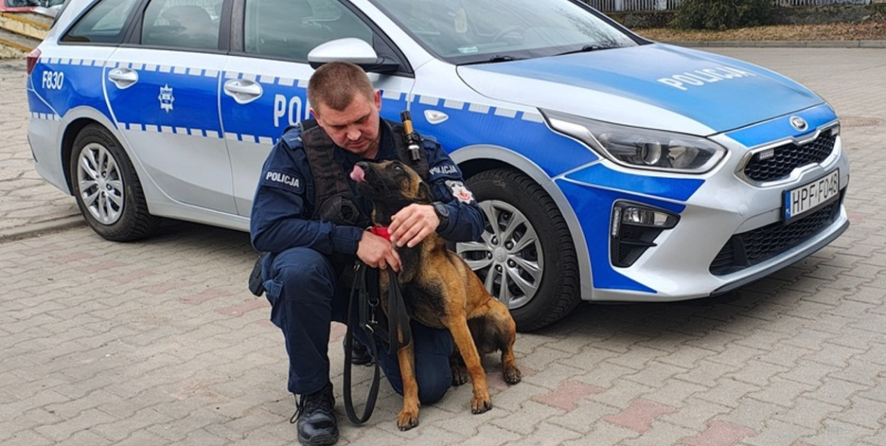 Czworonożna policjantka rozpoczęła służbę w Kutnie