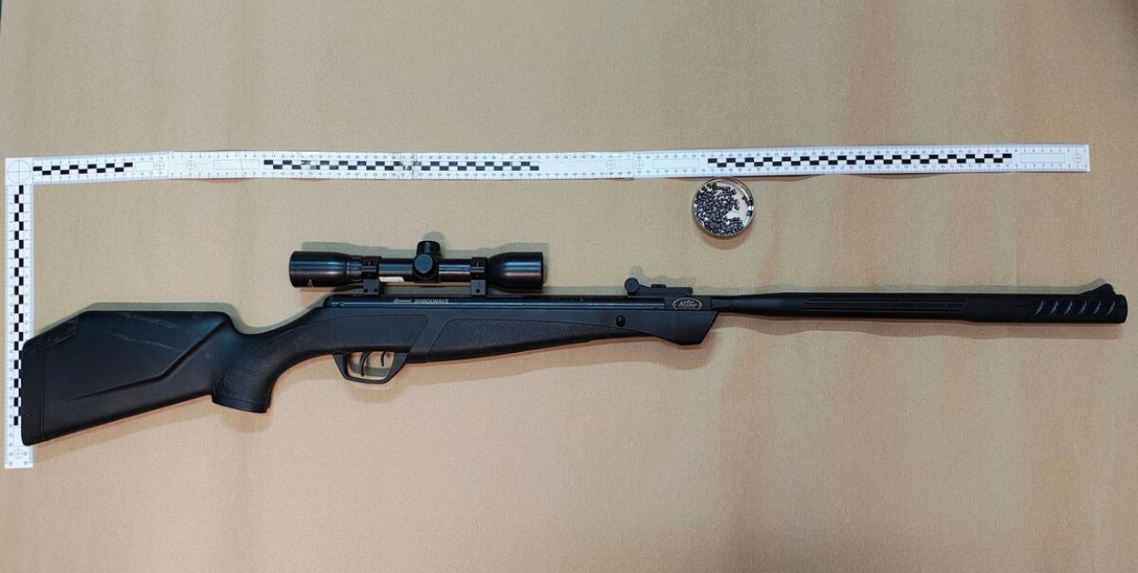 Bestialskie znęcanie nad zwierzęciem. Strzelał do kota z wiatrówki