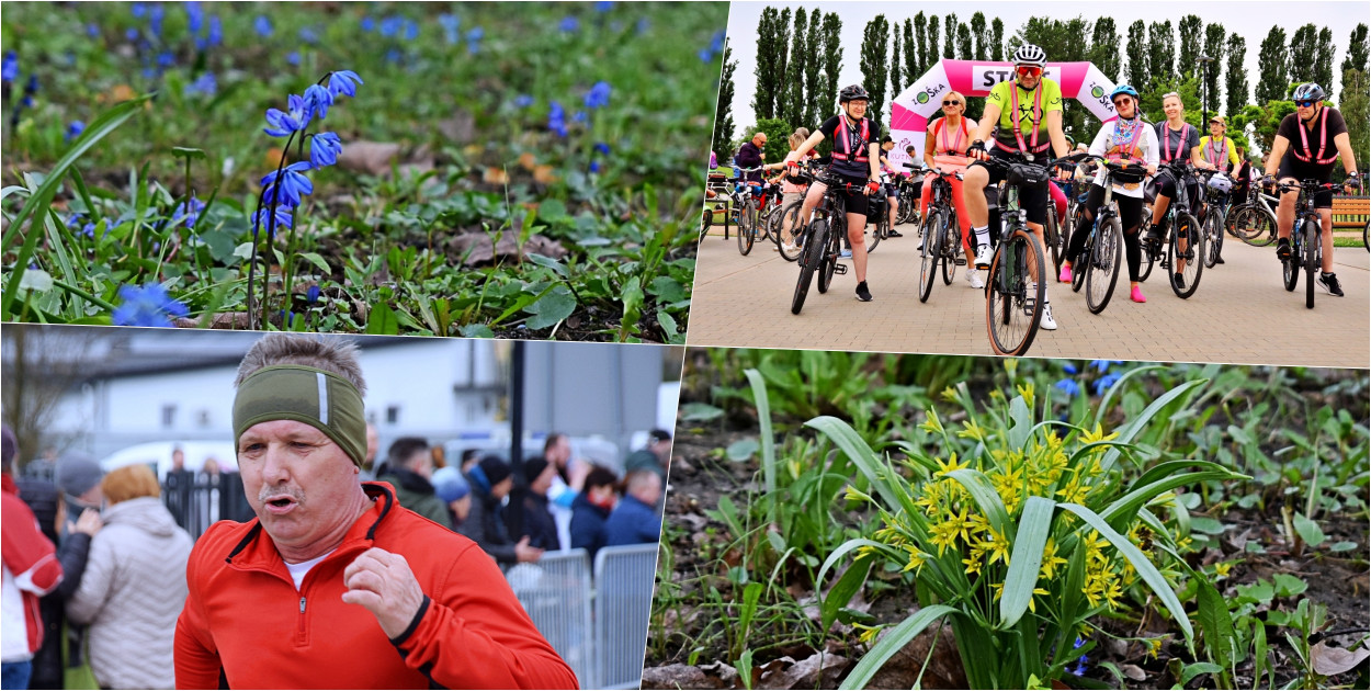 Wiosna w Kutnie: Mieszkańcy już cieszą się słońcem i pierwszymi kwiatami