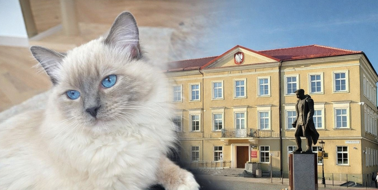 50% dopłaty do zabiegów dla psów i kotów. Start programu już 25 marca